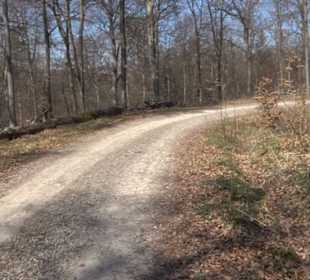 Geologischer Lehrpfad Kirnbachtal