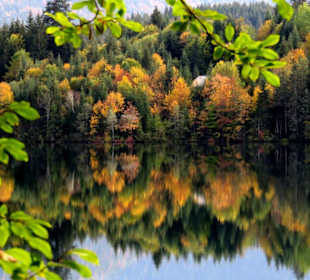 Farbenpracht im Herbst