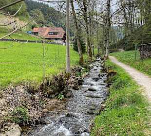 Wandern Wolfach
