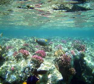 Vorderste Riffkante am Innenriff