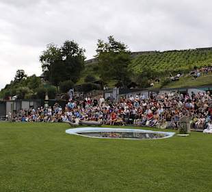 Die Anlage der Greifvogelwarte Riegersburg
