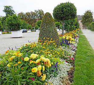 So schön ist es im Blühendem Barock
