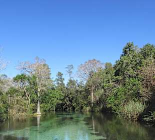 Weeki Wachee River