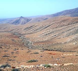 Tagesausflug Inselrundfahrt