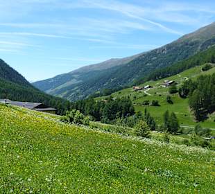 Wandern Sesvennahütte Mals/Malles Venosta