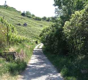 Früchtetrauf - Wurmlinger Kapellenwegle