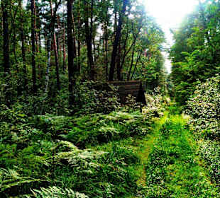 Kampinoski Park Narodowy