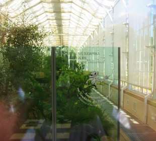 Am Eingang vom Palmenhaus