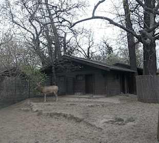 ZOO Berlin