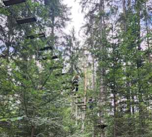 Waldklettergarten Atreenalin Dornstetten-Hallwange
