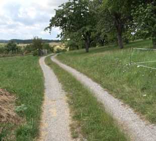 Wanderweg Ammerbucher Gigeleswegle