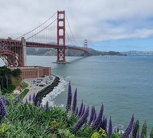 Golden Gate Bridge