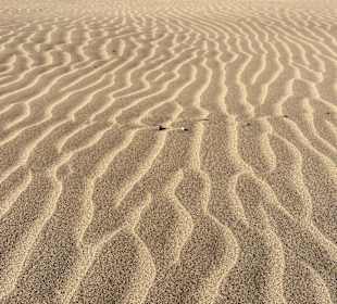 Playa de los Pocillos