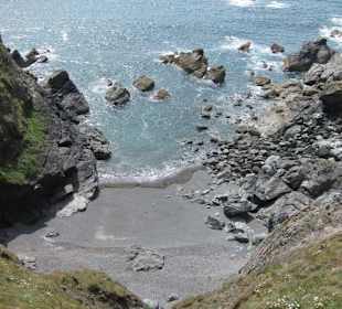 Lizard Point