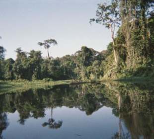 Tortuguero