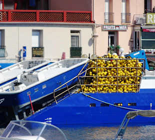 Die Fischtrawler im Hafen von Port Vendres