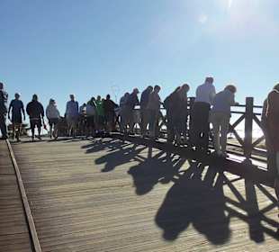 Jeden Tag viele Menschen zum Fische beobachten 