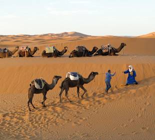 Wüste von Merzouga