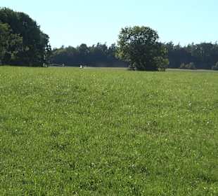 Burgruine Andeck Talheim