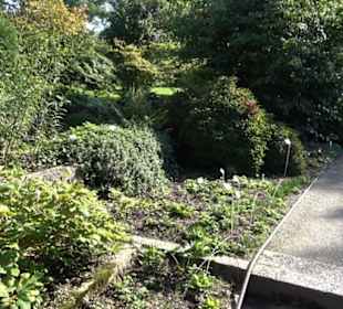 Botanischer Garten München