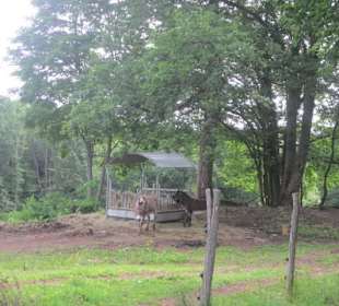 Ferme du Hungerplatz