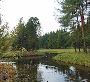 Тишина в парке