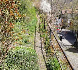 Abstieg von der Burg 