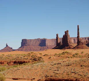 Links der Totem Pole von weitem