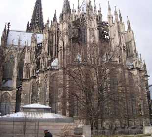 Dom