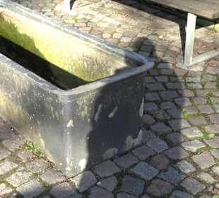 Brunnen Steigstraße Schlaitdorf