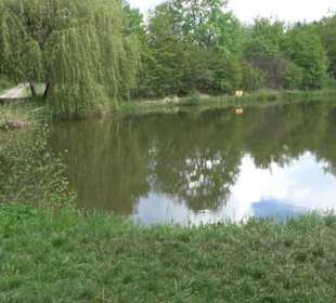 Butzensee