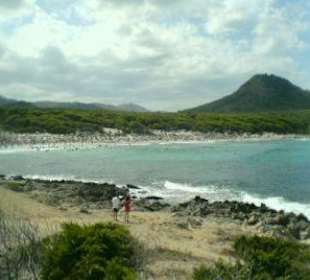 Panoramabild von Bucht