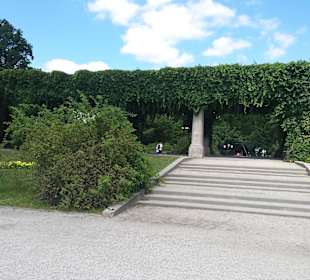 Stare Miasto Wrocław