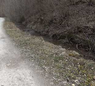 Geologischer Lehrpfad Kirnbachtal