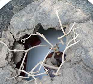 Fundacion Cesar Manrique