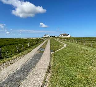 Hamburger Hallig