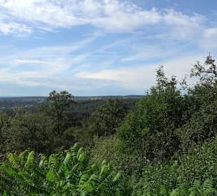 Birkenkopf