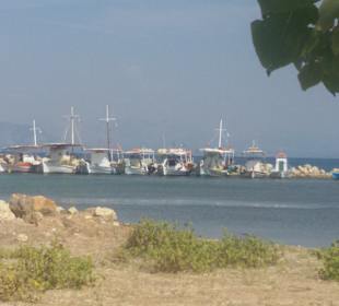 Inselrundfahrt Korfu