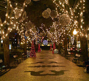 Weihnachtsbeleuchtung