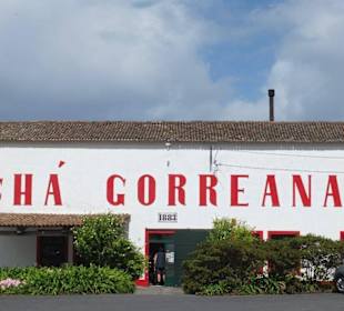 Plantage Gorreana