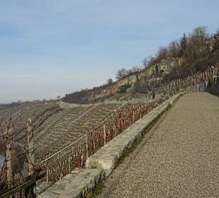 Weinberge unterhalb der Felsengärten