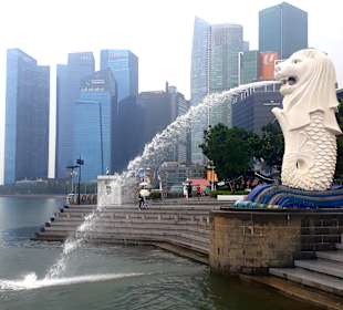 Merlion MBS