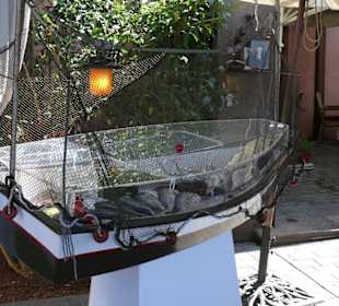 Frische Fische - Restaurant 