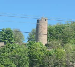 Blick zur Burgruine Scherenburg in Gemünden