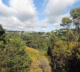 Im Botanischem Garten
