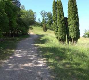 Früchtetrauf - Wurmlinger Kapellenwegle