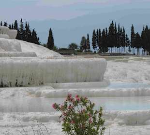 Tagesausflug zum UNESCO-Weltkulturerbe, Pamukkale