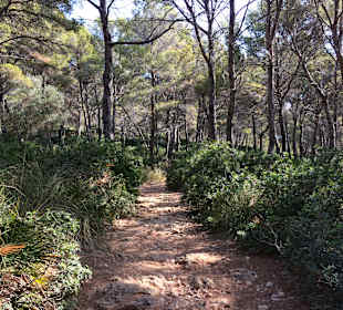 Wandern Cala Ratjada