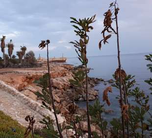 Schiffswrack Edro III