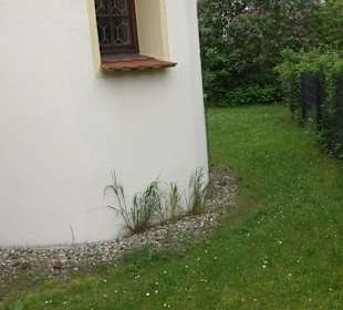 Kath. Kirche St. Vitus Amerdingen